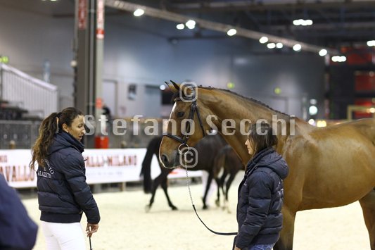 QUEEN LIESA_MILANO_2010_SS3_7427.jpg